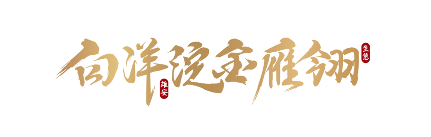 白洋淀金雁翎品名字體1.png